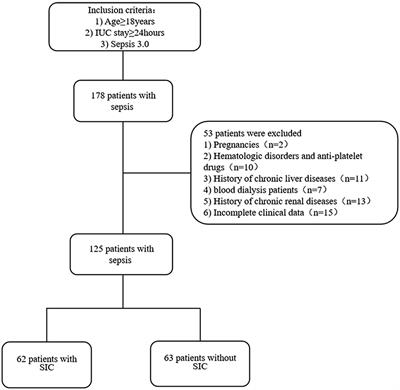 Relationship between serum sodium level and sepsis-induced coagulopathy